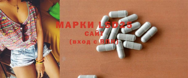 шишки Надым
